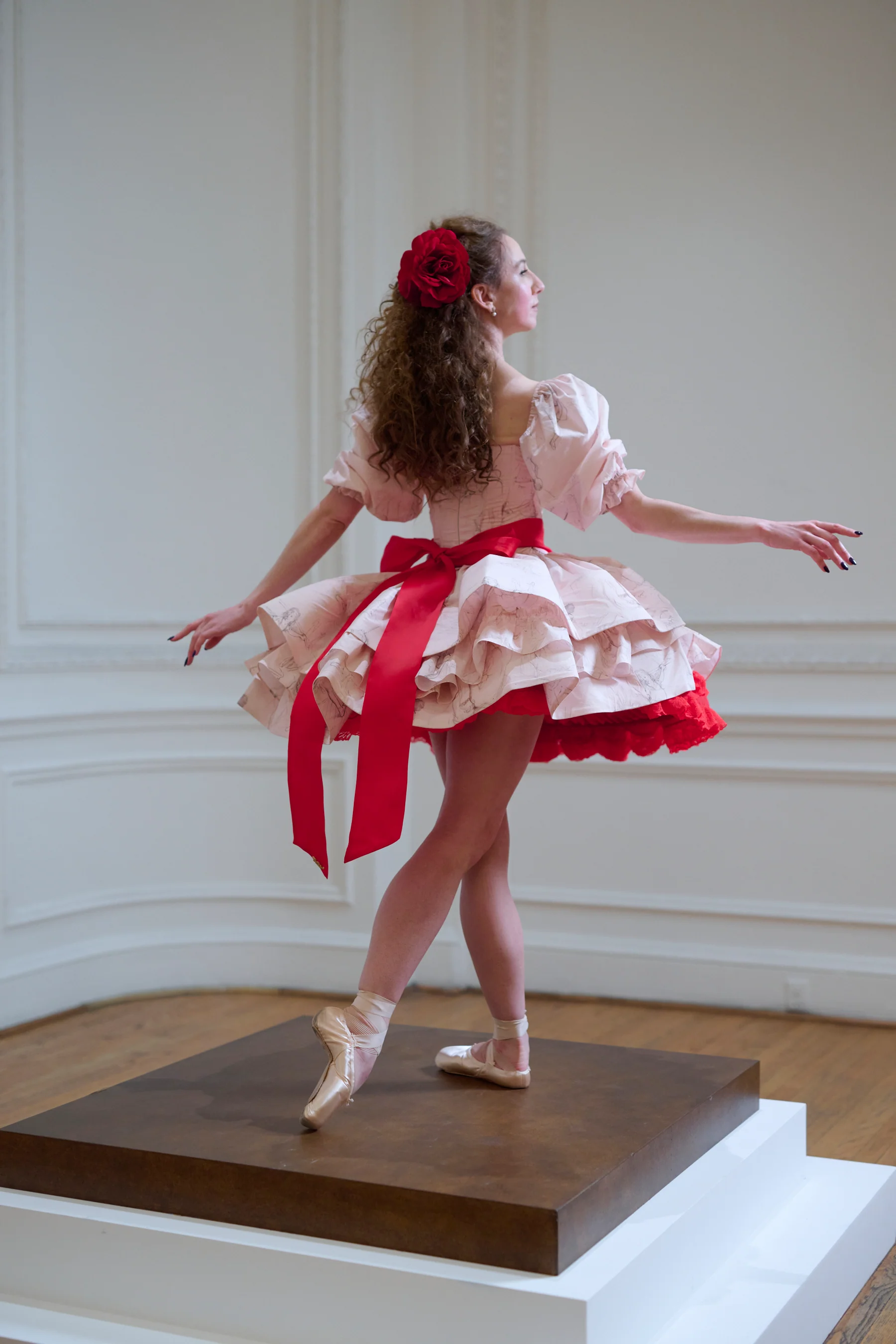 The Sketch Etoile Dress - Image 7
