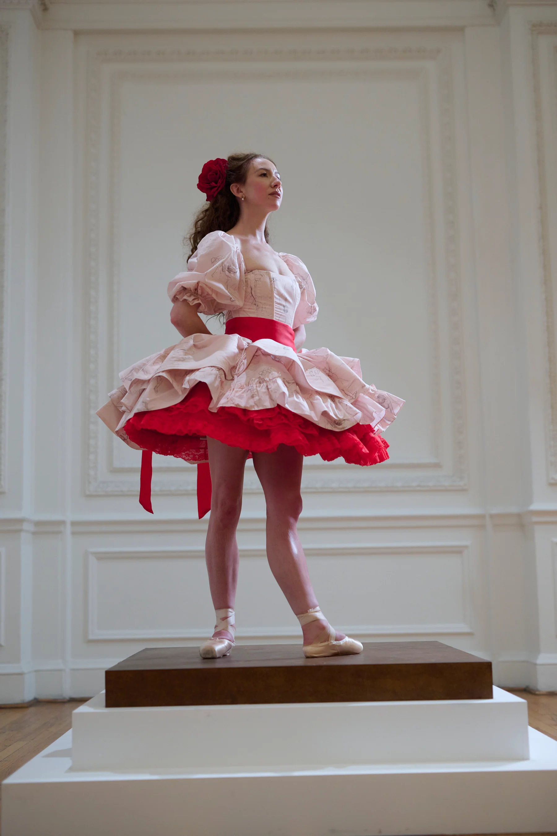 The Sketch Etoile Dress - Image 8