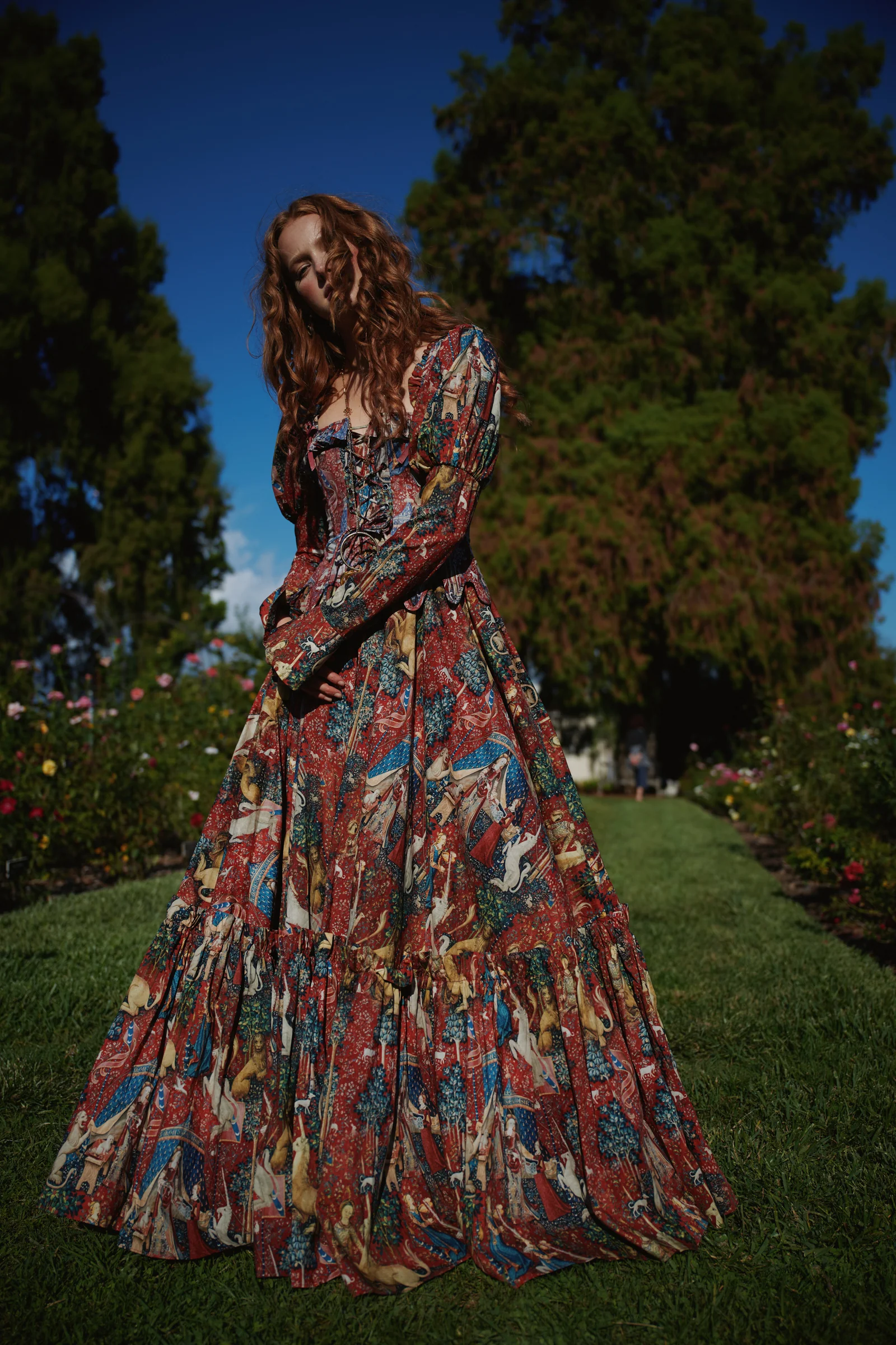 The Lady and the Unicorn Astronomers Gown - Image 21